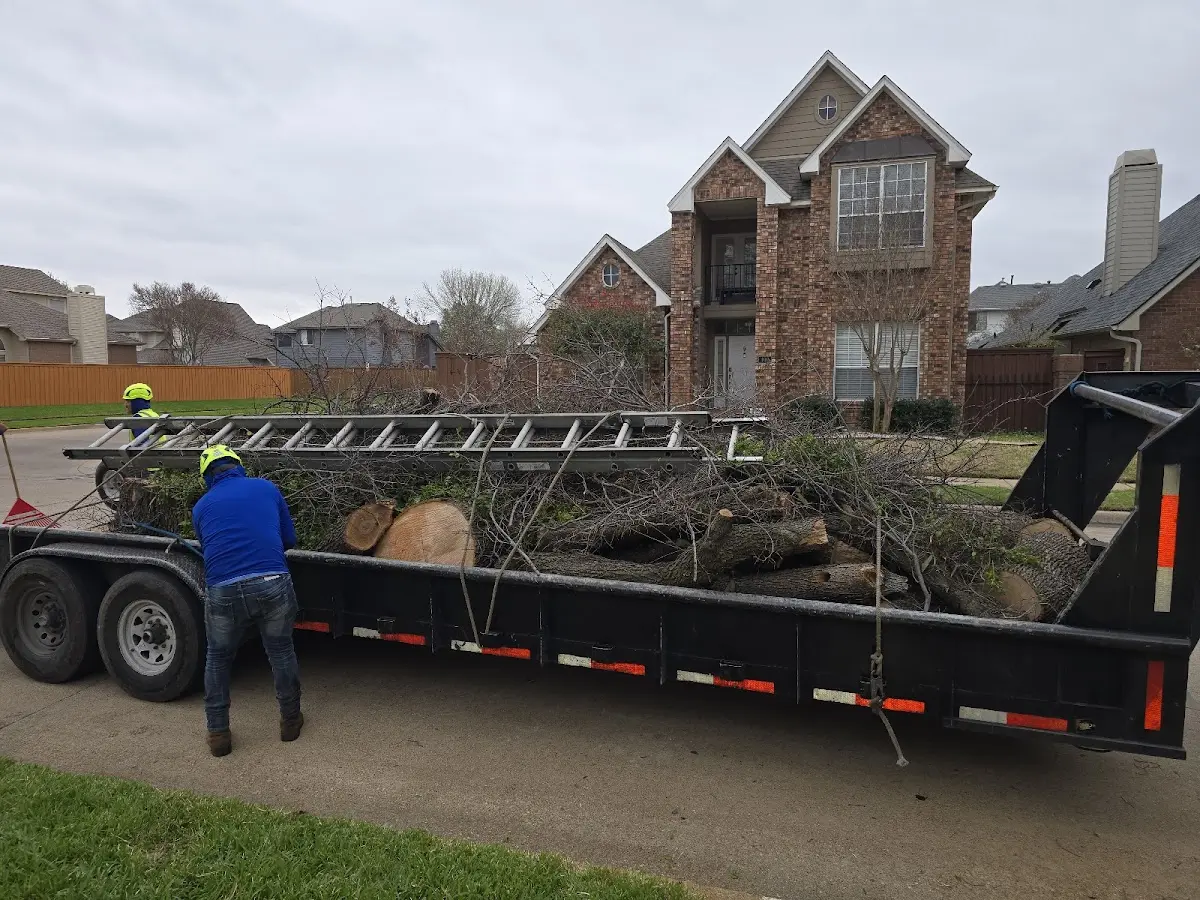 Expert Tree Removal with proper safety equipment in Valdese